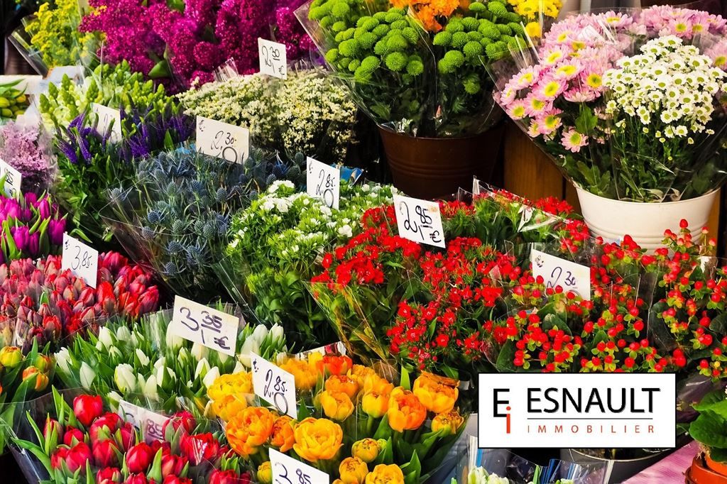 commerce en vente sur MONTPELLIER (34000)