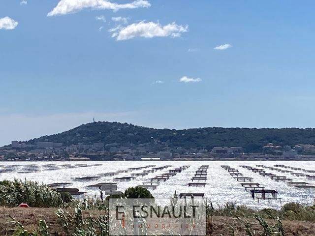 Vente Commerce Sète 34200