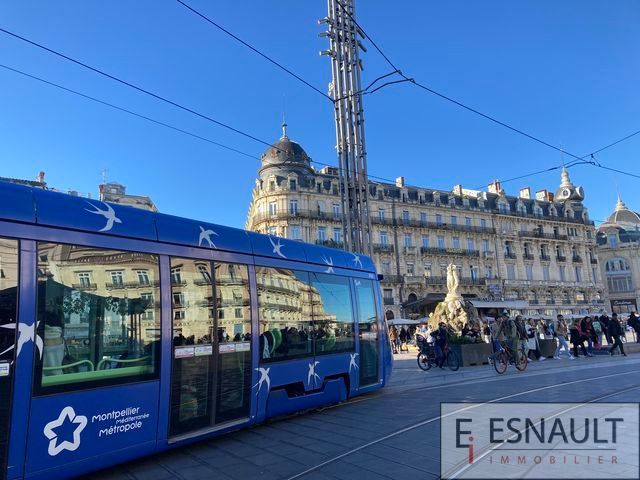 commerce en vente sur MONTPELLIER (34000)