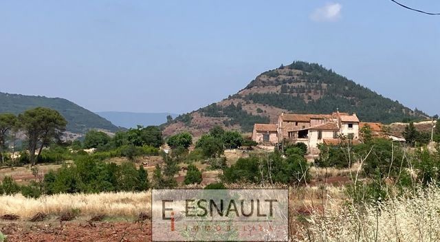 commerce en vente sur CLERMONT L HERAULT (34800)