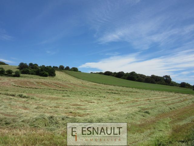 Vente Commerce Clermont-l'Hérault 34800 Zone touristique, zone commerciale