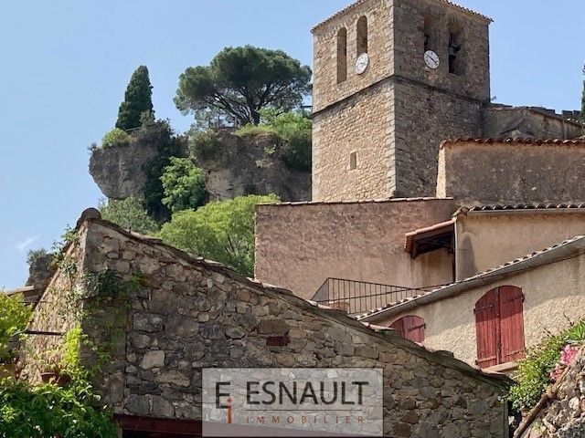 Vente Commerce Clermont-l'Hérault 34800 Zone touristique, zone commerciale