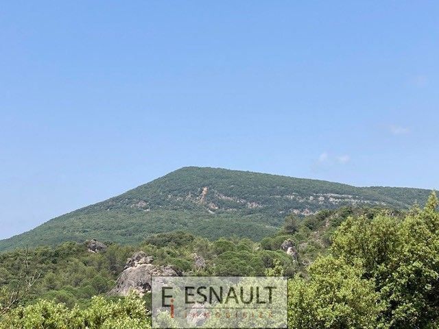 Vente Commerce Clermont-l'Hérault 34800 Zone touristique