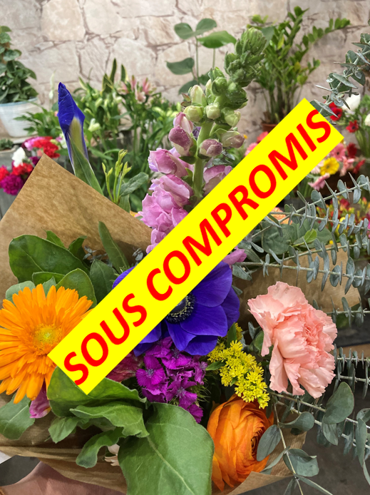 commerce en vente sur MONTPELLIER (34000)