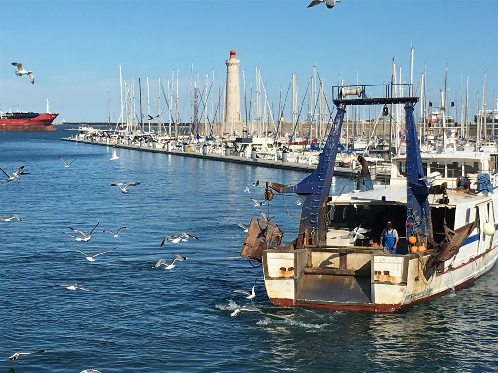 Vente Commerce Sète 34200