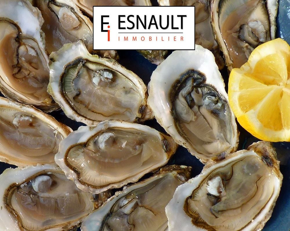Vente Commerce Montpellier 34000 Centre-ville, Ecusson
