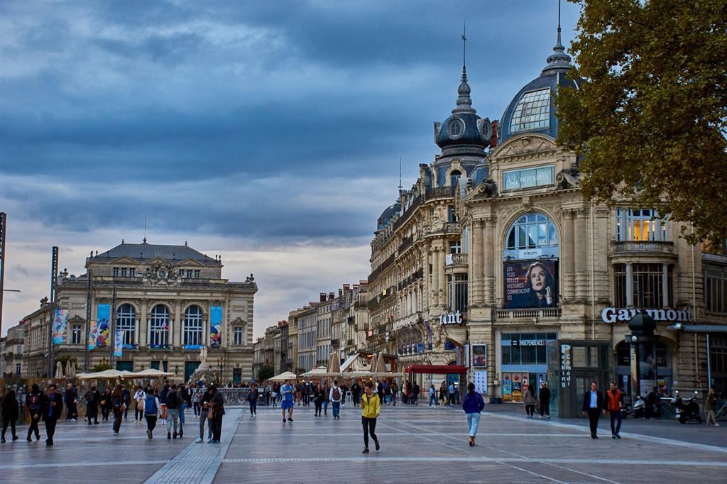 Vente Commerce Montpellier 34000 Ecusson