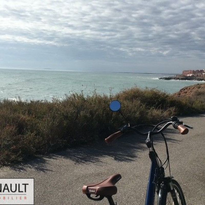 Le vélo : Une opportunité en or pour les entrepreneurs ????